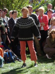 Islandpullover